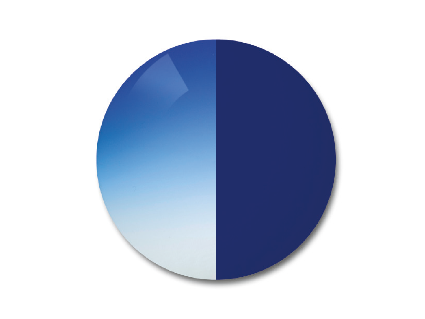 ZEISS AdaptiveSun bleu dégradé en teinte claire dégradée et en teinte unie foncée.