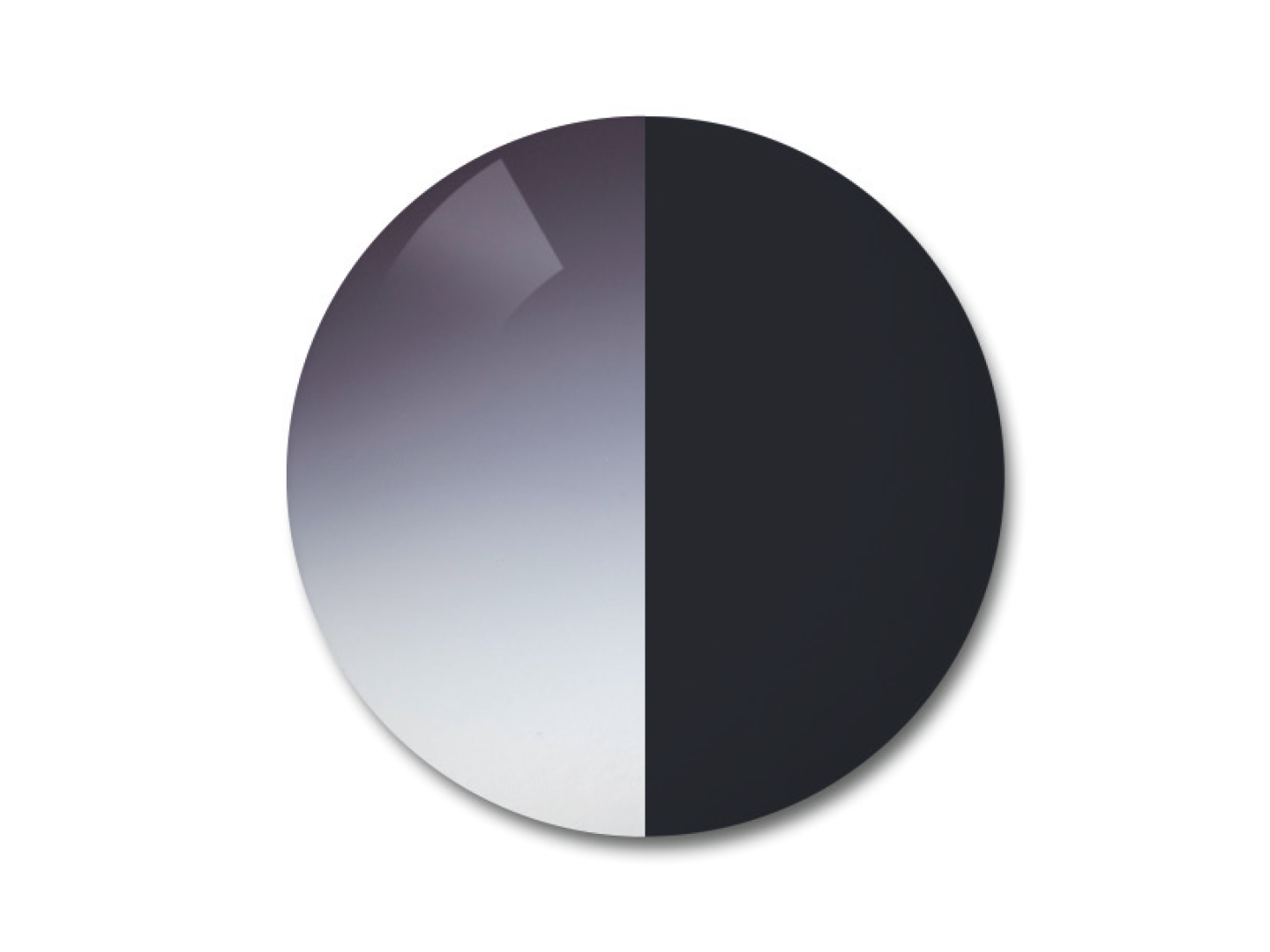 ZEISS AdaptiveSun gris dégradé en teinte claire dégradée et en teinte unie foncée.
