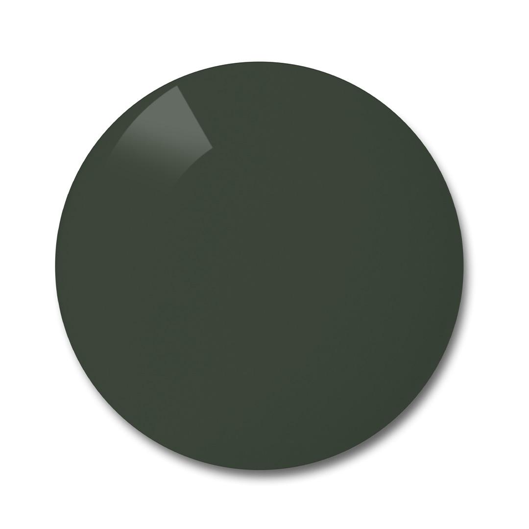 Verres polarisés ZEISS en pioneer, une teinte unie gris-vert.