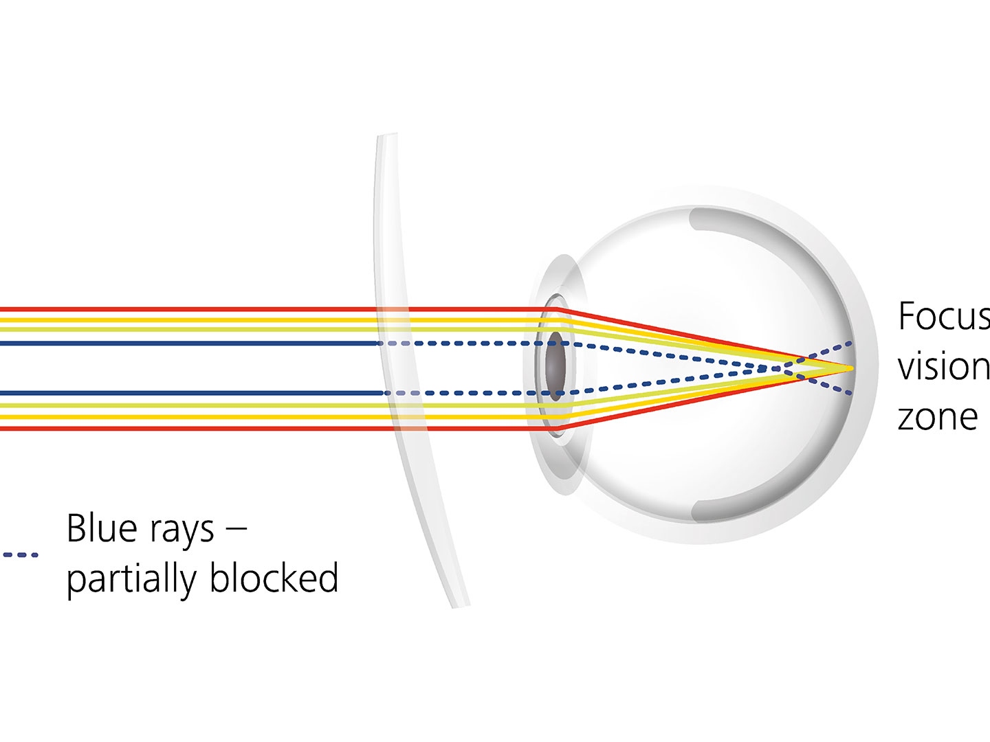 Visualisation de la manière dont les traitements de verre peuvent réduire l’éblouissement en bloquant partiellement les rayons de lumière bleue 